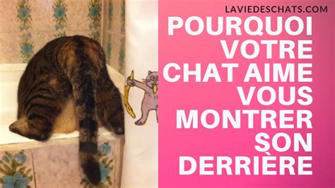 chatte vue de derriere|Vue Derriere Vidéos Porno .